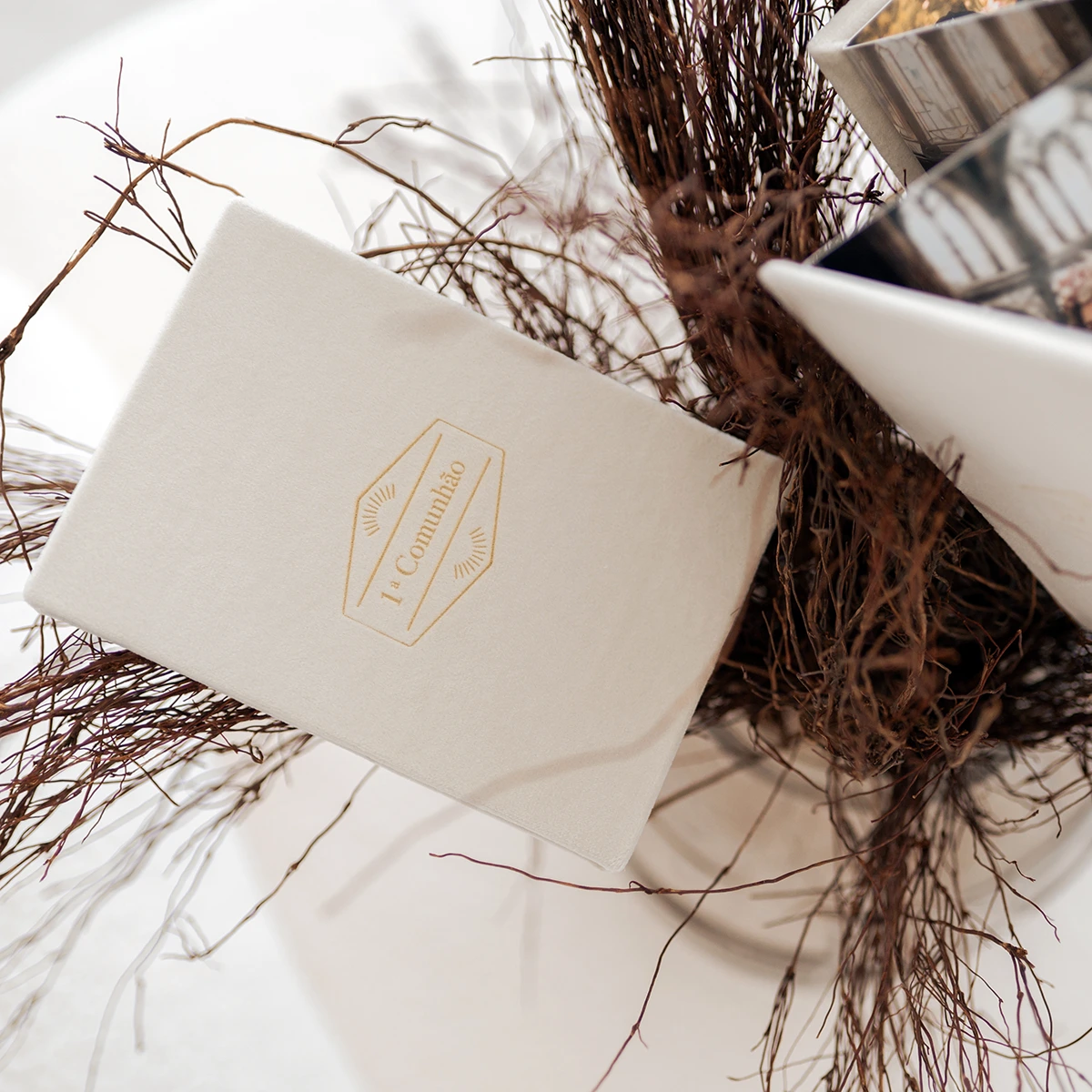 PACK XI - 5 Accordion Folio