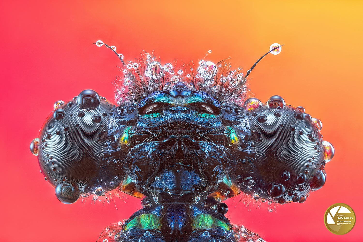 PEDRO LUIS AJURIAGUERRA SAIZ  -  KOY LAB AWARDS 2023