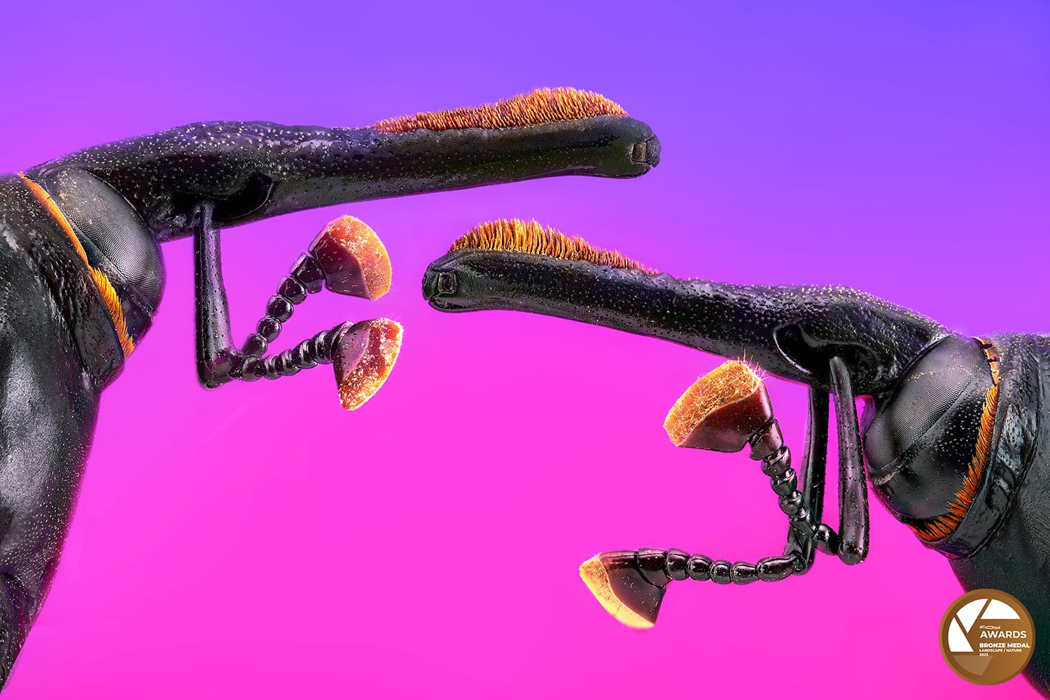 PEDRO LUIS AJURIAGUERRA SAIZ  -  KOY LAB AWARDS 2023