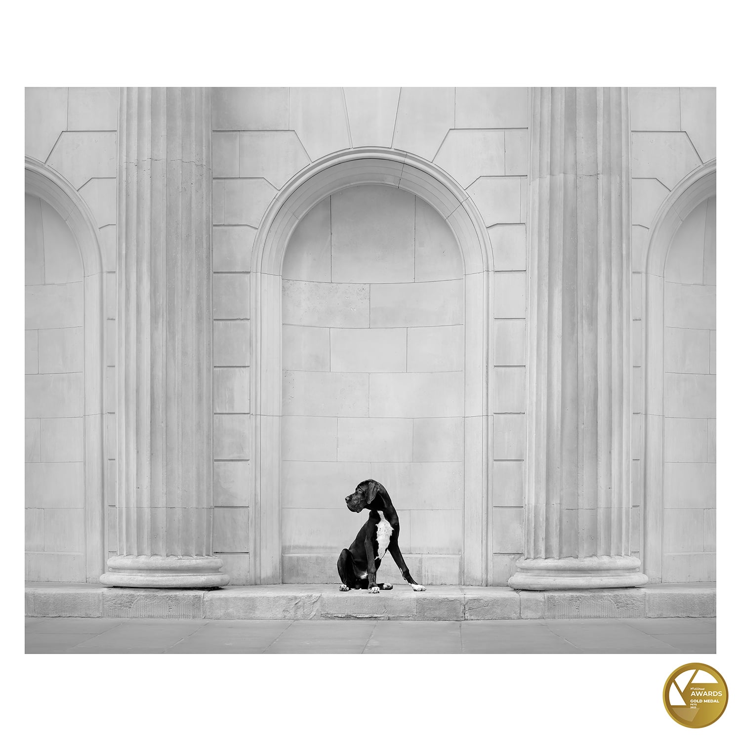 ELENA MARCHI - KOY LAB AWARDS 2023