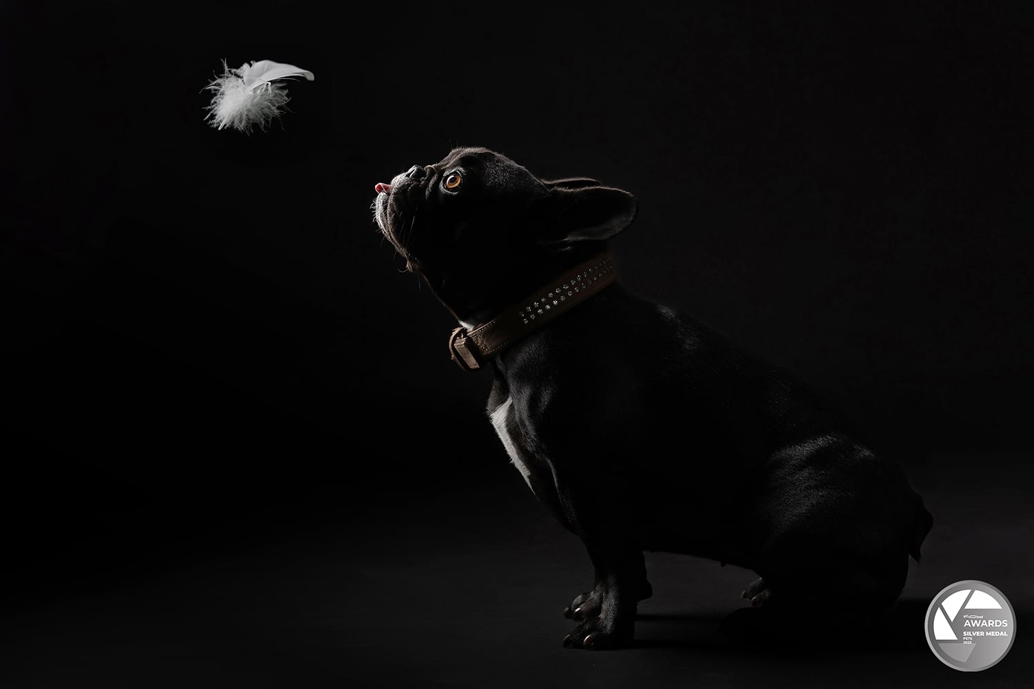 SABINE DE RIJBEL - KOY LAB AWARDS 2023