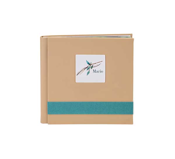 Luna Collection - Oval application and horizontal stripe