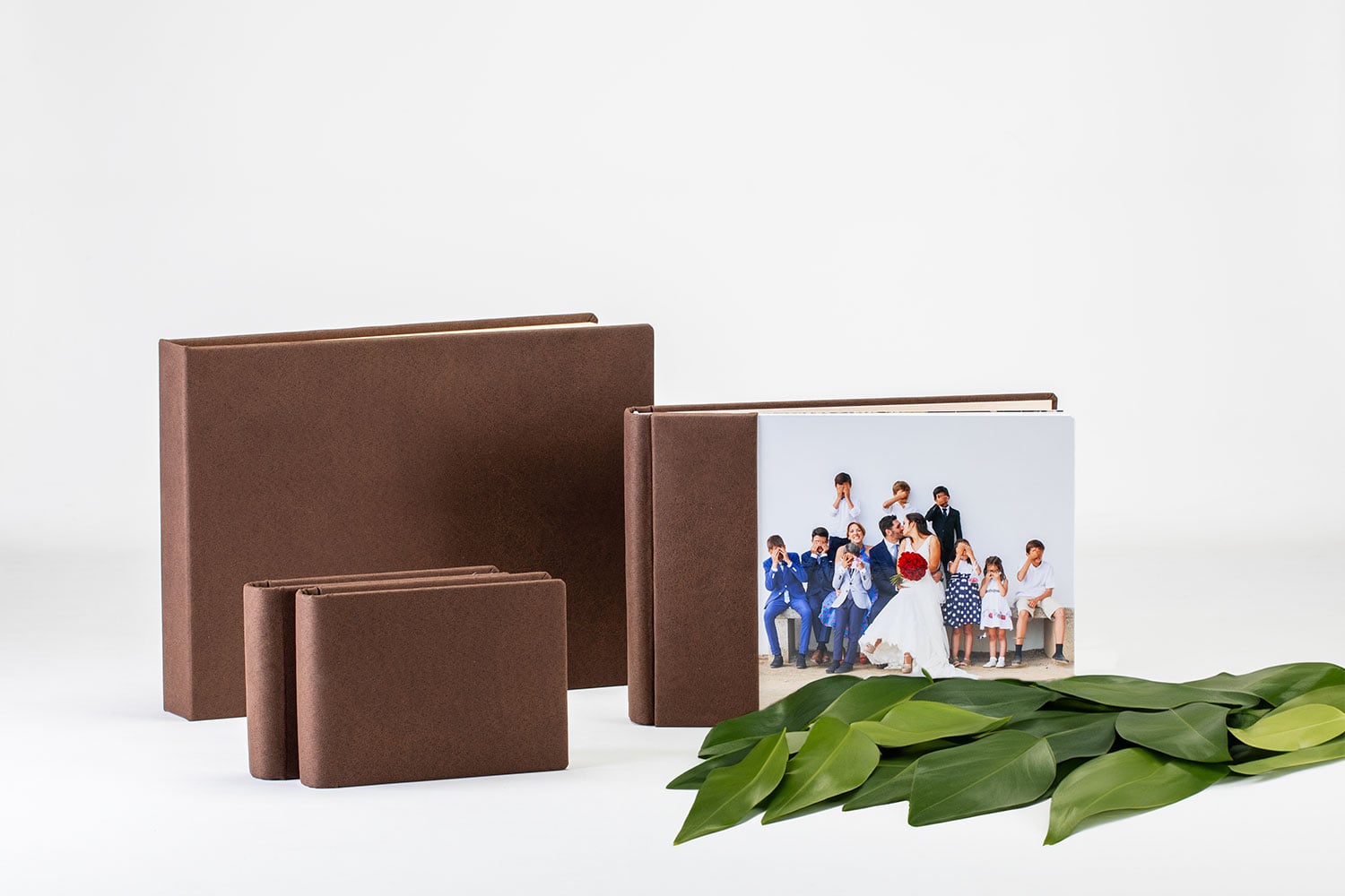 Pack Coleção Kushion